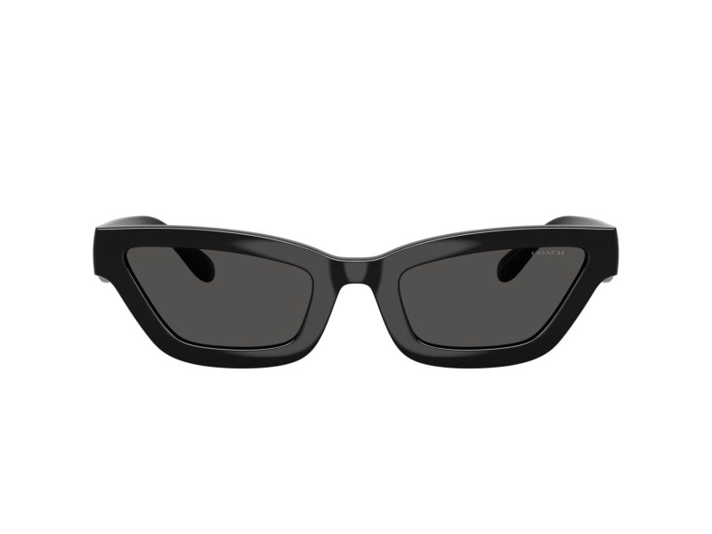 Coach Cad28 HC 8420U 500287 55 Women sunglasses