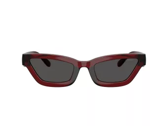 Coach Cad28 HC 8420U 587487 55 Women sunglasses