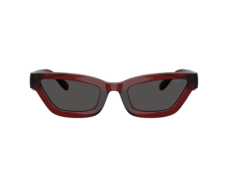 Coach Cad28 HC 8420U 587487 55 Women sunglasses