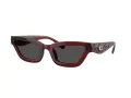 Coach Cad28 HC 8420U 587487 55 Women sunglasses