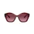 Coach Cad31 HC 8421U 58708H 54 Women sunglasses