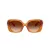 Coach Cad33 HC 8422U 564774 55 Women sunglasses