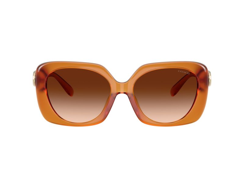 Coach Cad33 HC 8422U 564774 55 Women sunglasses
