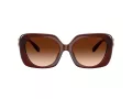 Coach Cad33 HC 8422U 584174 55 Women sunglasses