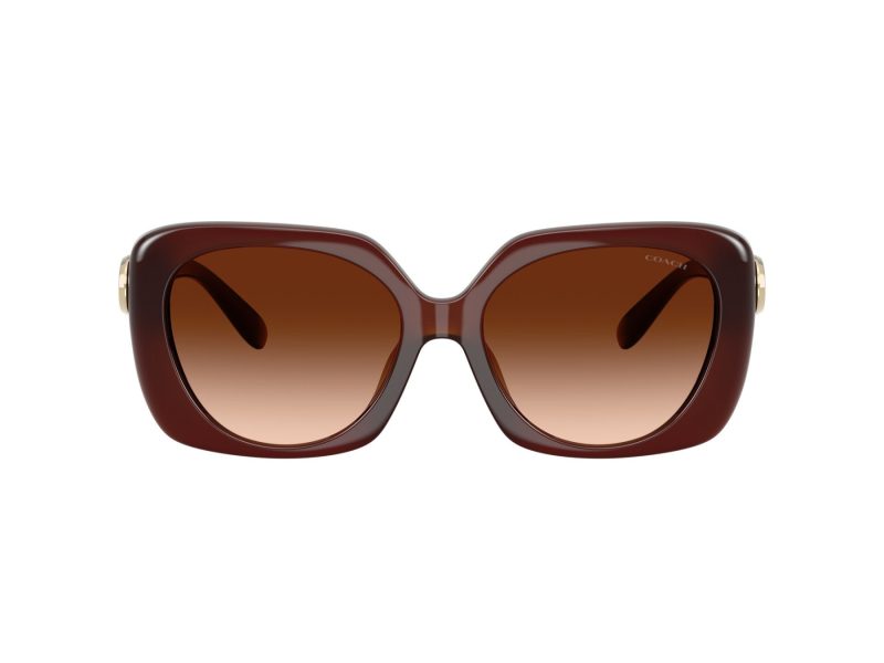 Coach Cad33 HC 8422U 584174 55 Women sunglasses
