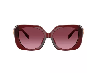 Coach Cad33 HC 8422U 58708H 55 Women sunglasses