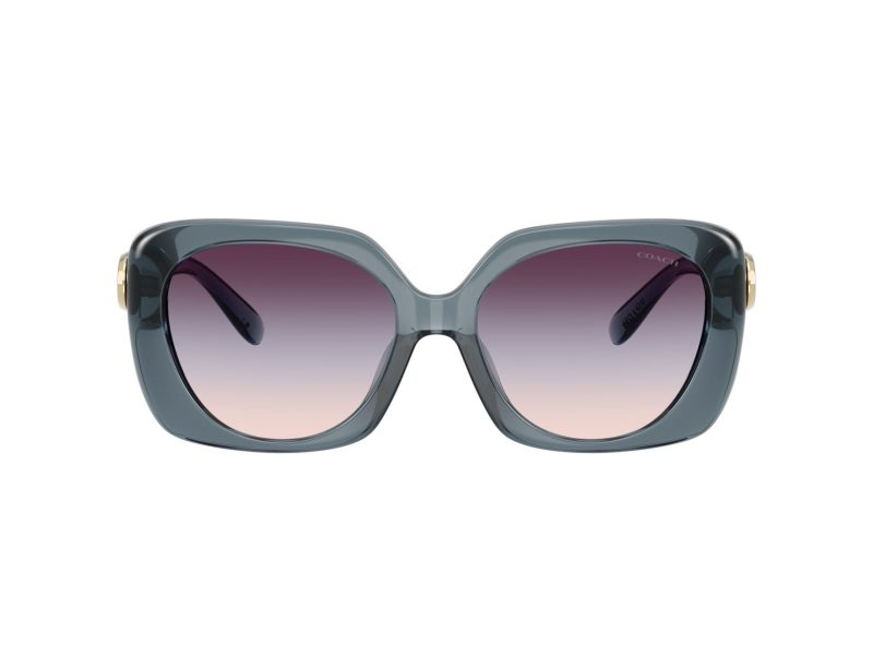 Coach Cad33 HC 8422U 5871U7 55 Women sunglasses