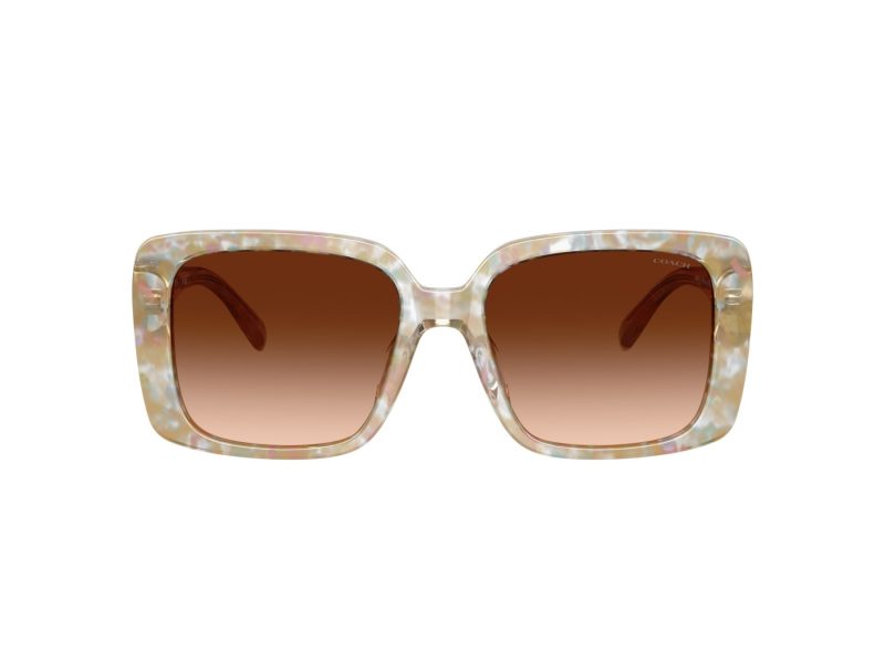 Coach Cad54 HC 8424U 586874 54 Women sunglasses