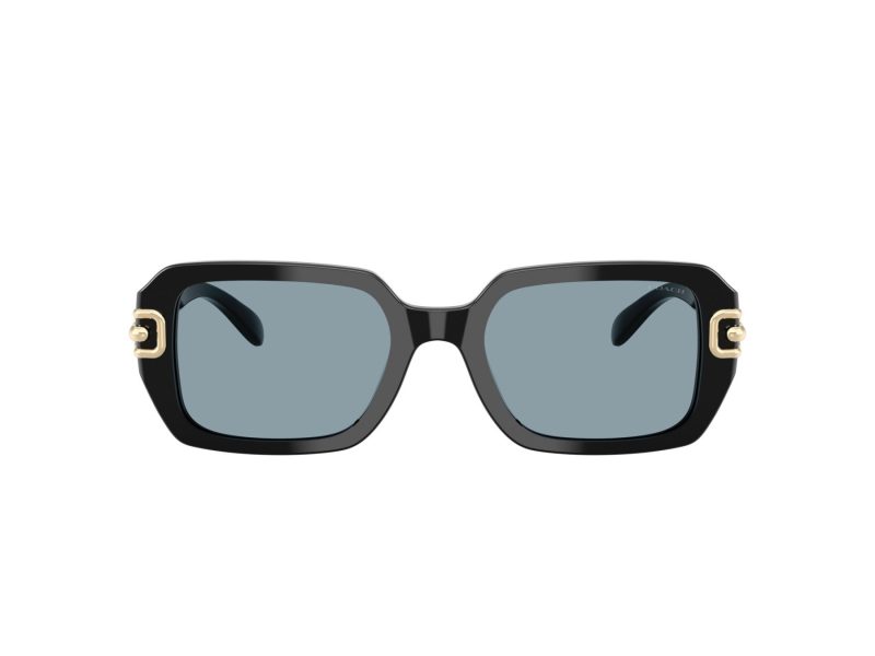 Coach Cad74 HC 8425U 500272 52 Women sunglasses