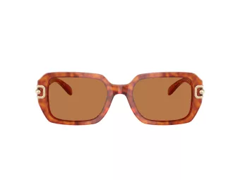 Coach Cad74 HC 8425U 577473 52 Women sunglasses