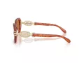 Coach Cad74 HC 8425U 577473 52 Women sunglasses