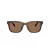 Coach Cad81 HC 8426U 512073 54 Men sunglasses