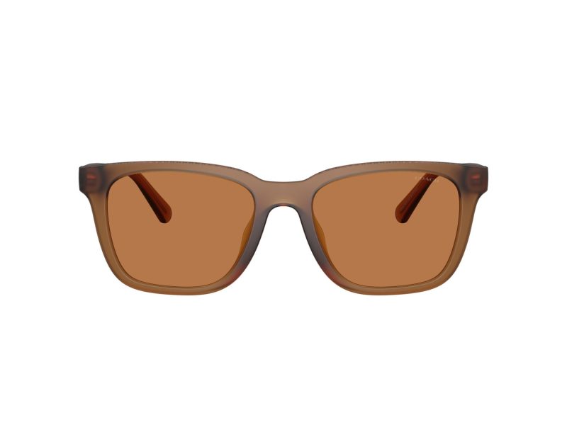 Coach Cad81 HC 8426U 587673 54 Men sunglasses