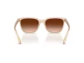 Coach Cae86 HC 8429D 588374 56 Women sunglasses