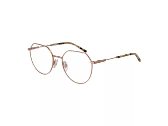 Ana Hickmann HIY 1005 05A 50 Women glasses