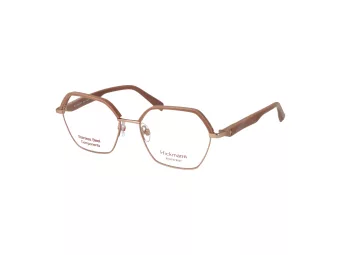 Ana Hickmann HI 1245 D01 55 Women glasses