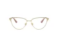 Jimmy Choo JC 2002 3013 55 Women glasses