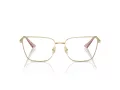 Jimmy Choo JC 2003 3013 55 Women glasses