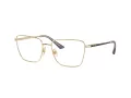 Jimmy Choo JC 2003 3017 55 Women glasses