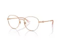 Jimmy Choo JC 2004HB 3008 50 Women glasses