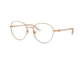 Jimmy Choo JC 2004HB 3008 52 Women glasses