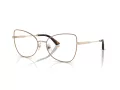 Jimmy Choo JC 2006 3019 53 Women glasses