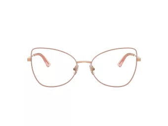 Jimmy Choo JC 2006 3020 55 Women glasses
