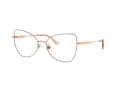 Jimmy Choo JC 2006 3020 55 Women glasses