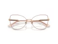 Jimmy Choo JC 2006 3020 55 Women glasses