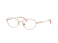 Jimmy Choo JC 2009D 3008 51 Women glasses