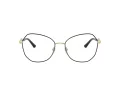 Jimmy Choo JC 2011 3010 53 Women glasses