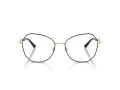 Jimmy Choo JC 2011 3010 55 Women glasses