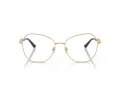 Jimmy Choo JC 2011 3023 55 Women glasses