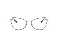 Jimmy Choo JC 2012 3010 53 Women glasses