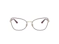 Jimmy Choo JC 2012 3025 55 Women glasses
