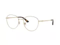 Jimmy Choo JC 2013HD 3006 54 Women glasses