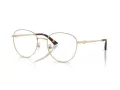 Jimmy Choo JC 2013HD 3006 54 Women glasses