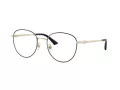 Jimmy Choo JC 2013HD 3010 54 Women glasses