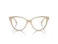 Jimmy Choo JC 3001B 5015 52 Women glasses