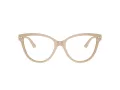 Jimmy Choo JC 3001B 5015 54 Women glasses