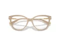 Jimmy Choo JC 3001B 5015 54 Women glasses