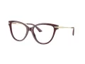 Jimmy Choo JC 3001B 5018 54 Women glasses