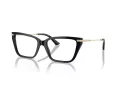 Jimmy Choo JC 3002B 5000 53 Women glasses