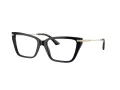 Jimmy Choo JC 3002B 5000 55 Women glasses