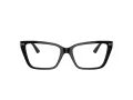 Jimmy Choo JC 3002B 5017 53 Women glasses