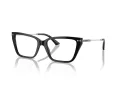 Jimmy Choo JC 3002B 5017 53 Women glasses