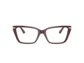 Jimmy Choo JC 3002B 5018 53 Women glasses