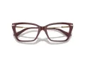 Jimmy Choo JC 3002B 5018 55 Women glasses