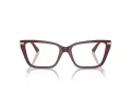 Jimmy Choo JC 3002B 5018 55 Women glasses