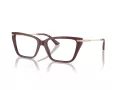 Jimmy Choo JC 3002B 5018 55 Women glasses